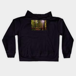 Redwood Forest at Sunset Kids Hoodie